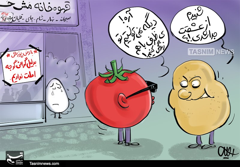 کاریکاتور/ بدلیل گرانی‌گوجه، املت نداریم!