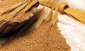 آخرین خبر | خواص سبوس جو؛ از لاغری تا شفافیت پوست