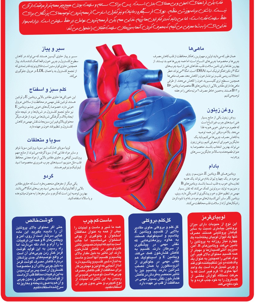 تغذیه/ خوراکی‌هایی که کمک می‌کنند قلبتان مثل ساعت کار کند 