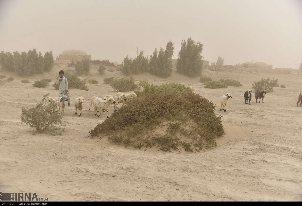 عکس/ طوفان شن در سیستان‎ و بلوچستان