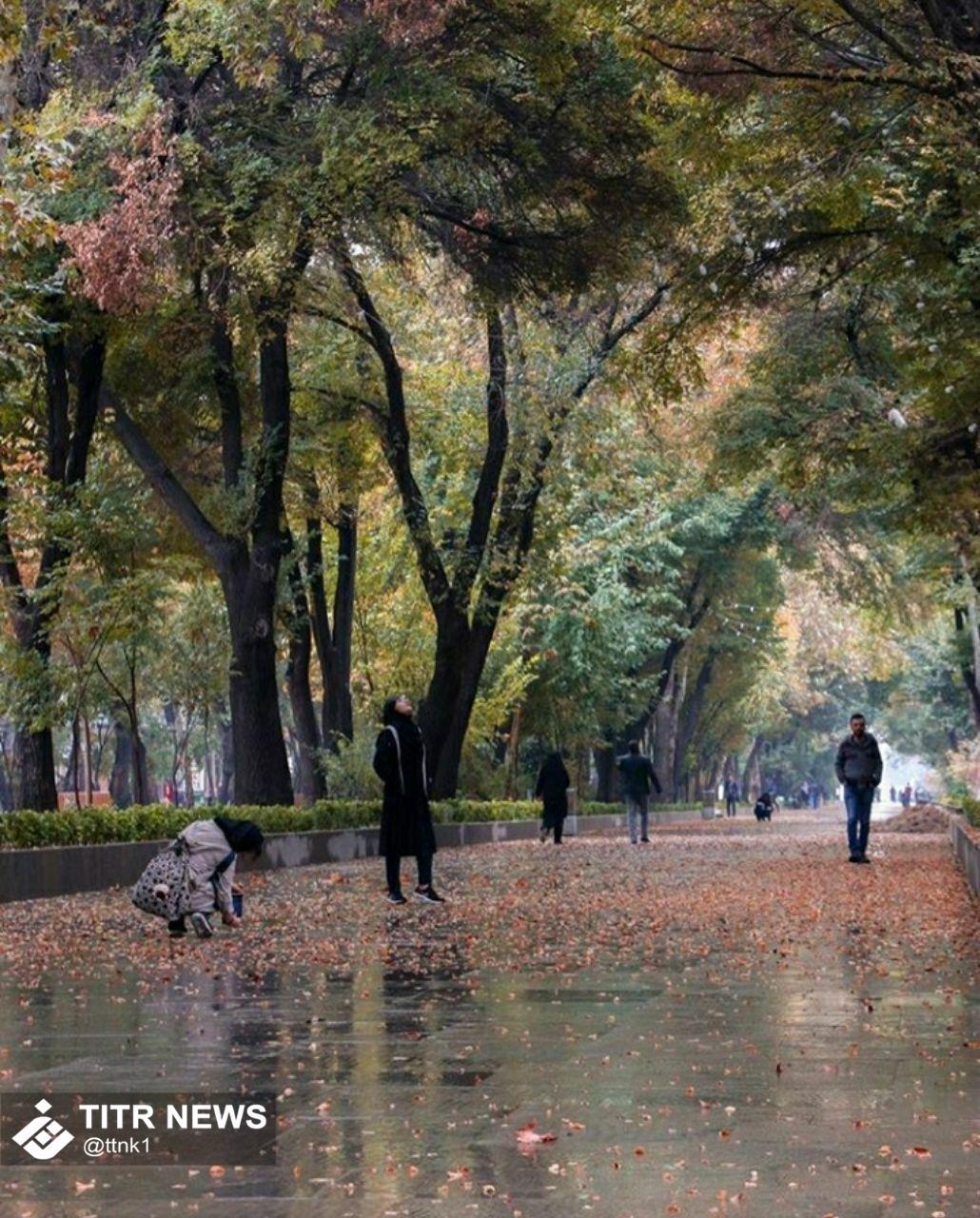 چهارباغ اصفهان در یک روز بارانی