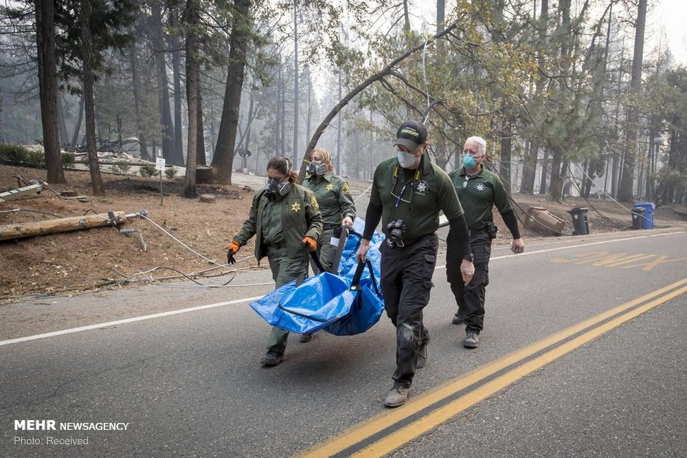 ۶۰۰ نفر مفقودی در آتش‌سوزی مرگبار کالیفرنیا