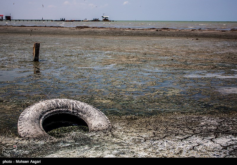 عکس/ مرگ خلیج گرگان
