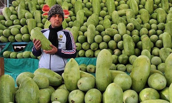 آخرین نرخ میوه و سبزیجات در بازار قزوین