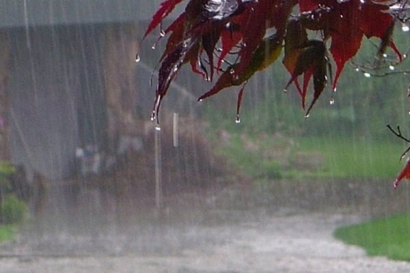 صید نظری چرداول رکورددار بارندگی در استان ایلام شد