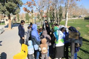 سرپرستی درختان به سرپرستی کودکان بی سرپرست شیراز