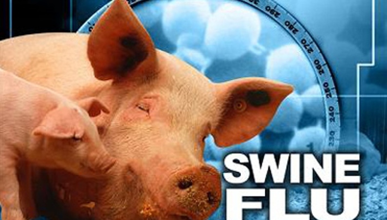 شیوع آنفلوآنزای خوکی در گرجستان؛ دانشگاه‌ها تعطیل شد