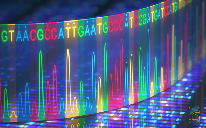 رمز و رازهای چگونگی تکثیر دی‌ان‌ای