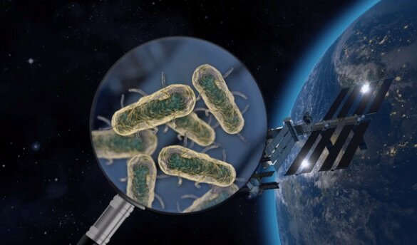 خطر میکروارگانیسم برای ساکنان ایستگاه فضایی بین‌المللی