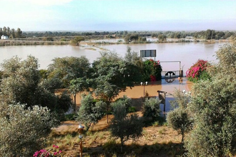 اداره پارک ملی دز به دلیل آبگرفتگی تخلیه شد