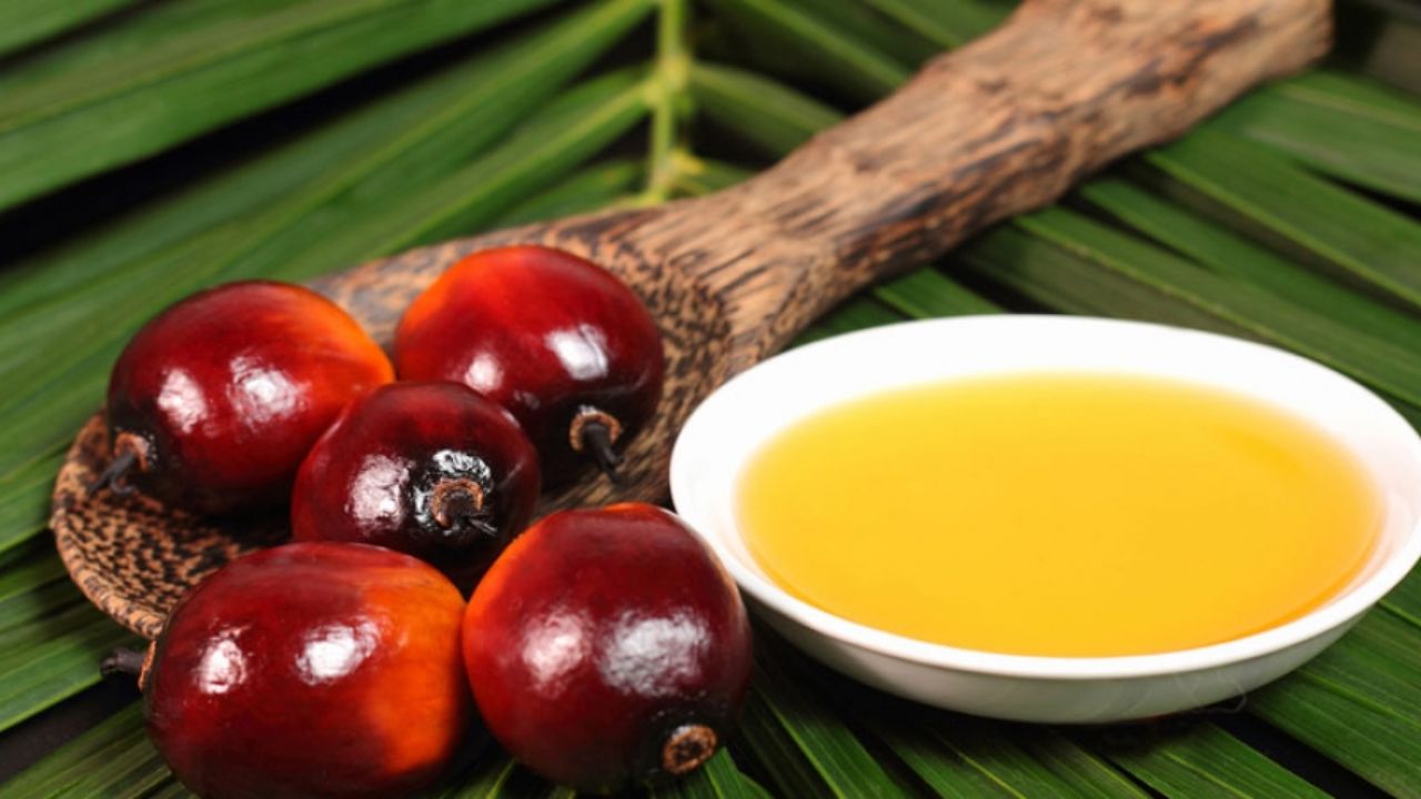 خوب و بد «روغن پالم»