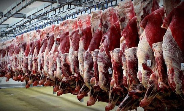 سود بازرگانی واردات گوشت صفر شد