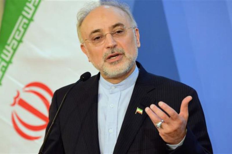 صالحی: ایران به قدرت بلامنازع منطقه مبدل شده است