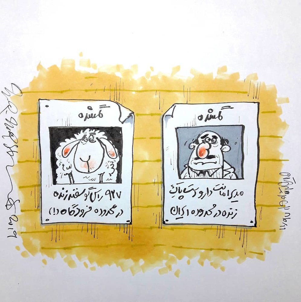 کاریکاتور/ پشت‌پرده گم شدن 927 راس گوسفند زنده!