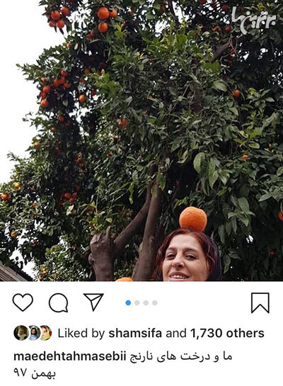 چهره ها/ «مائده طهماسبی» غرق در عطر درخت نارنج