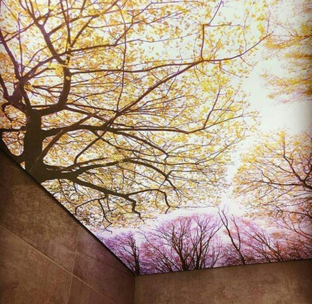 طرح های زیبای «باریسول»