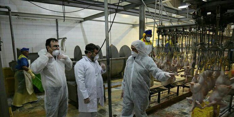گوشت از کشتارگاه‌های کرمانشاه بدون نظارت شرعی و بهداشتی وارد چرخه مصرف نمی‌شود