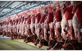 جزئیات تازه از فروش گوشت گوسفند مرده در بیدزرد