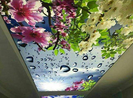طرح های زیبای «باریسول»