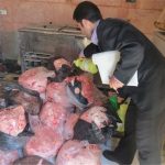 معدوم سازی گوشت غیر قابل مصرف در اهواز