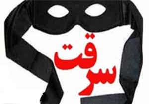 پرونده سارق درون خودرو با ۵۱ فقره سرقت بسته شد