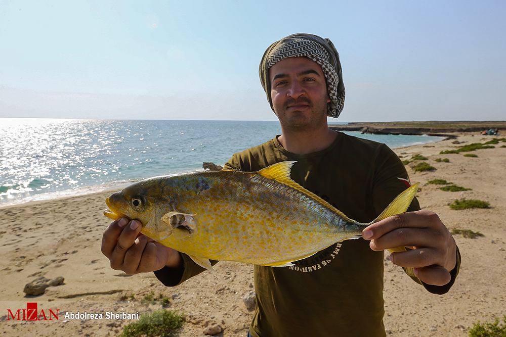 عکس/ جزیره دیدنی «هندرابی» در خلیج فارس