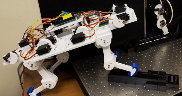 این ربات می‌تواند راه رفتن را یاد بگیرد؛ بدون برنامه‌نویسی و بسیار سریع!