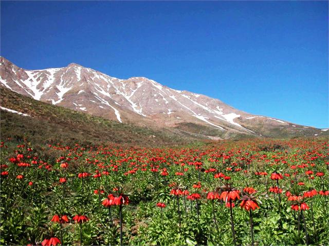 سرسبزترین منطقه خوانسار کجاست؟