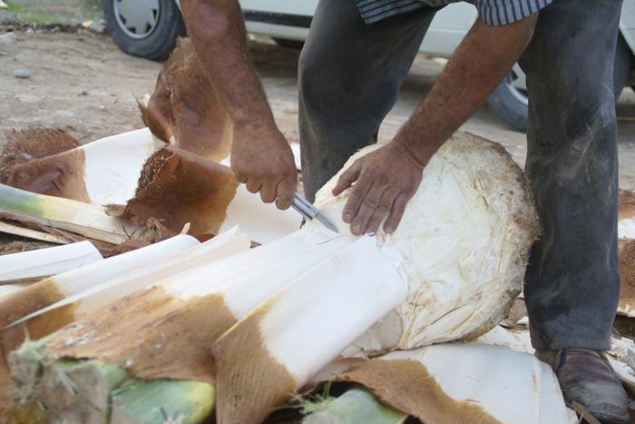 با سوغات و صنایع دستی بوشهری ها آشنا شویم