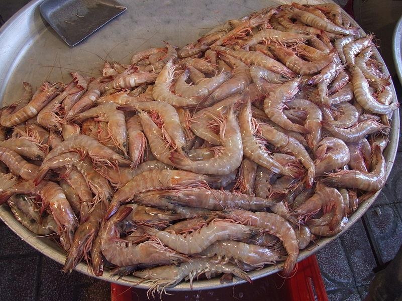 با سوغات و صنایع دستی بوشهری ها آشنا شویم
