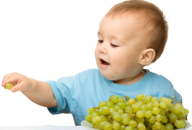 مزایا و نکات مهم درباره دادن انگور به کودک