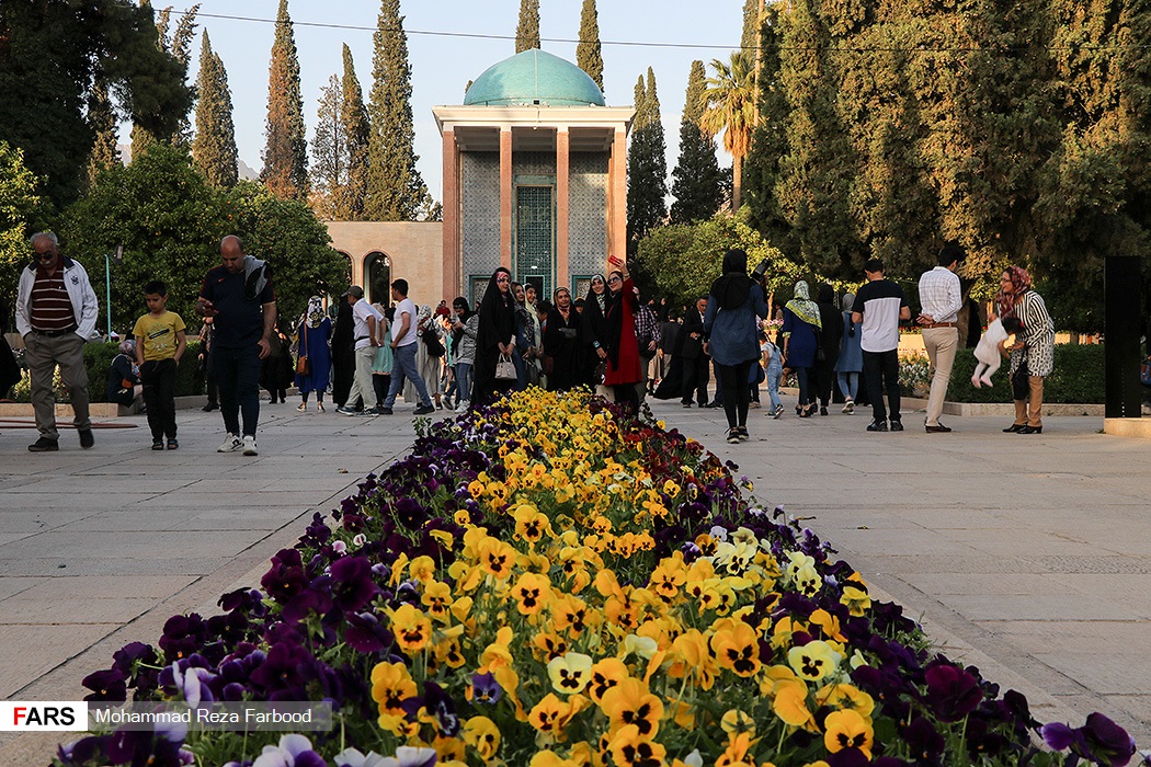 تصاویری به مناسبت روز جهانی سعدی