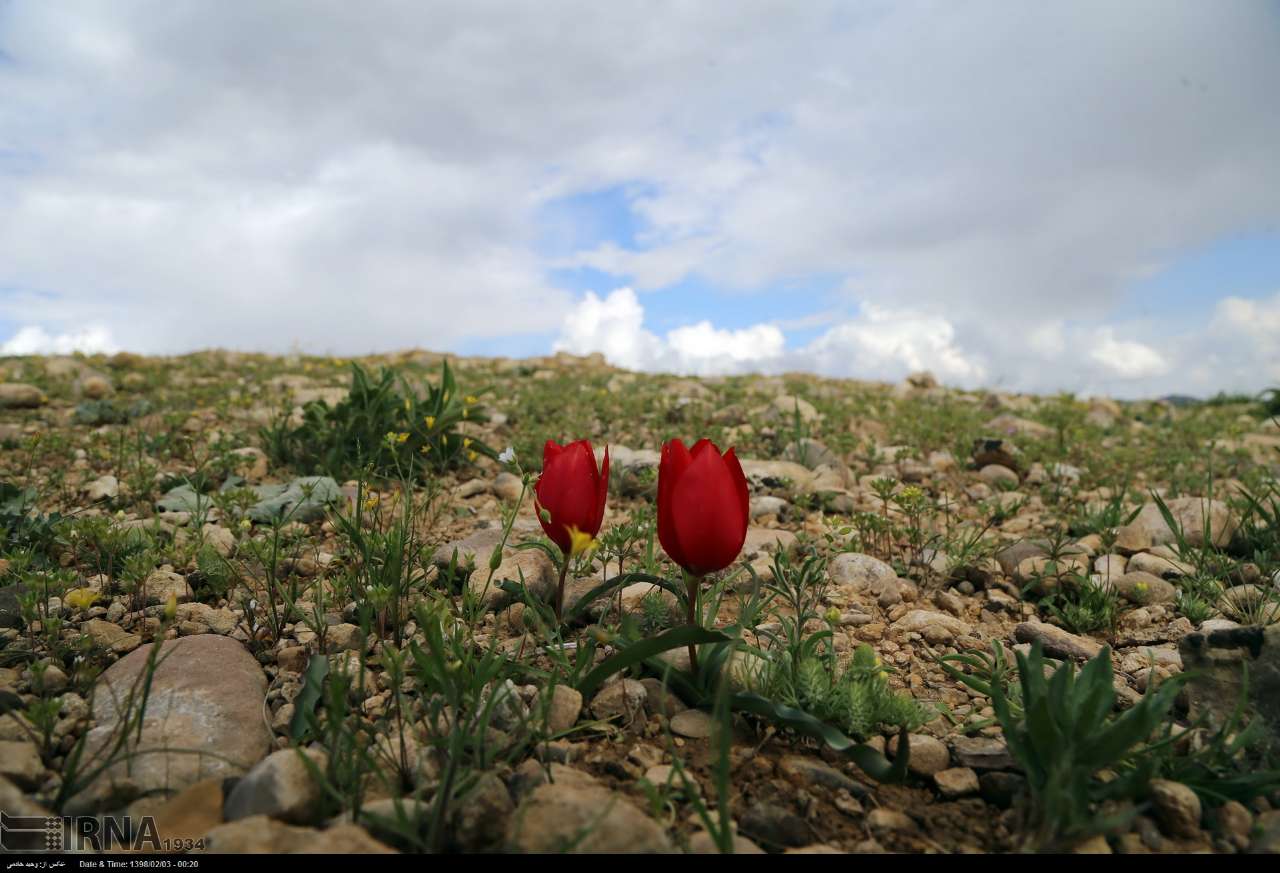 عکس/ سرزمین چهار فصل شمال شرق کشور