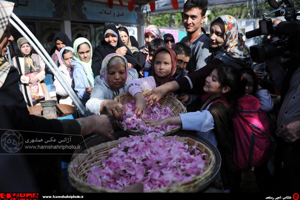 جشنواره «گل و گلاب» در تهران