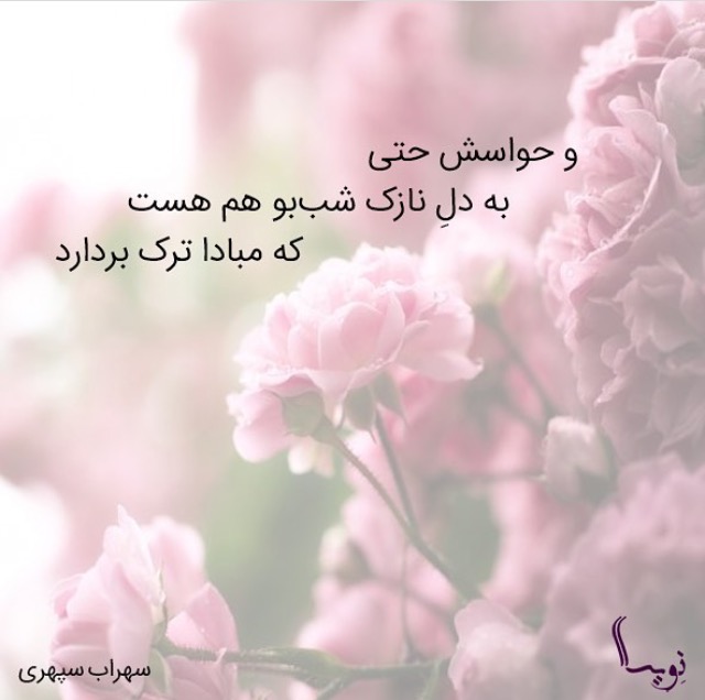 فتونکته/ مینی شعرهای عاشقانه