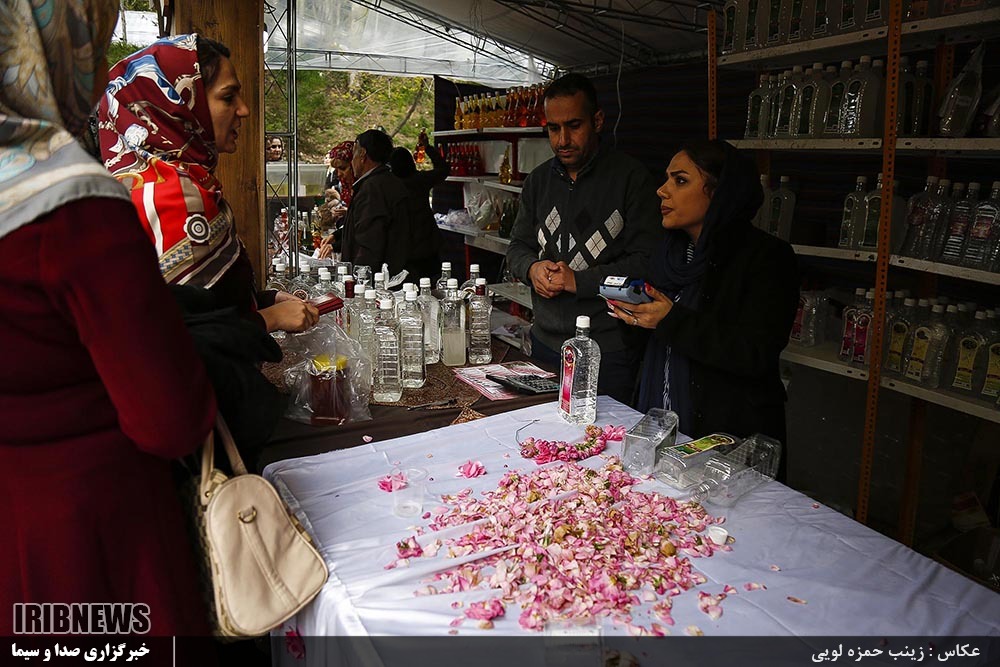 تصاویری جالب از گلاب گیری زنده در مجموعه تاریخی سعدآباد