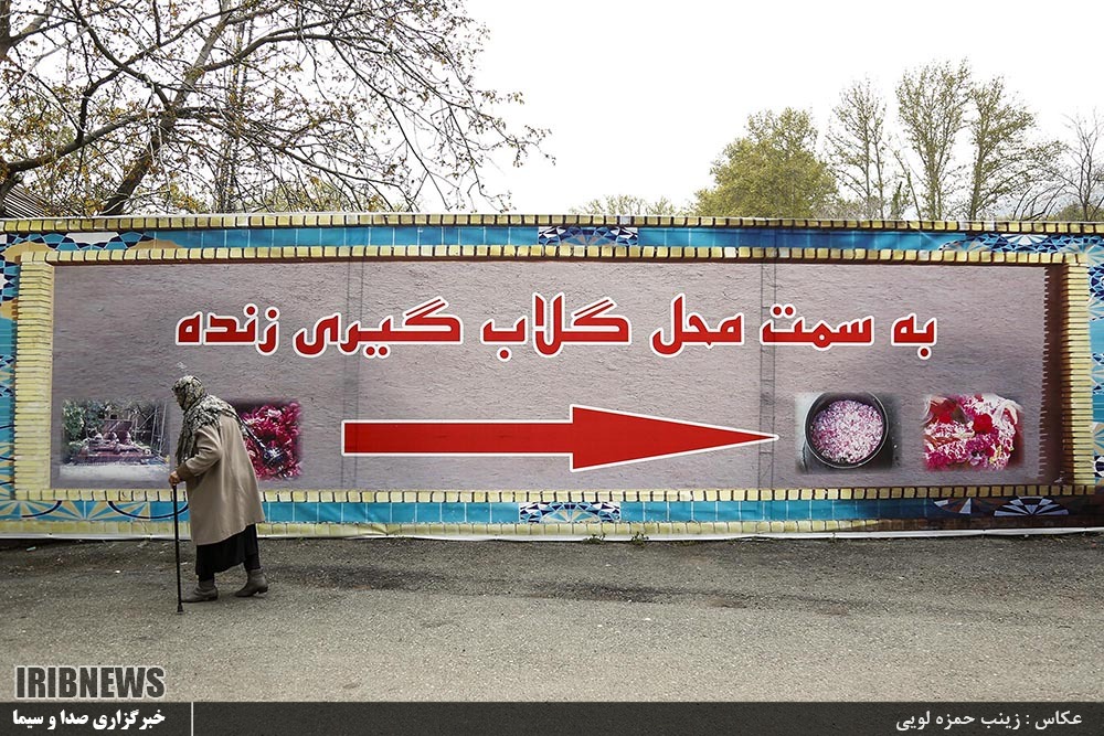 تصاویری جالب از گلاب گیری زنده در مجموعه تاریخی سعدآباد
