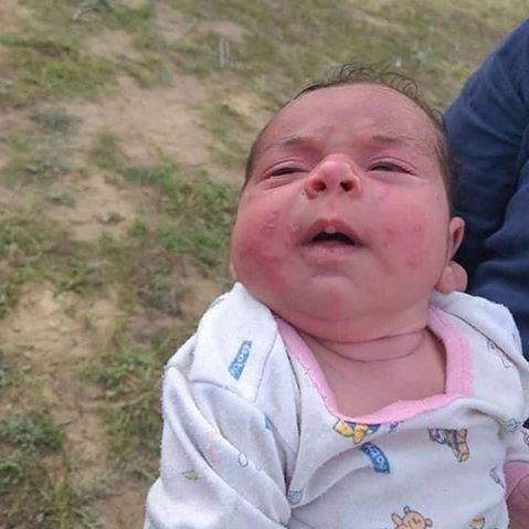 سایه حشرات موذی بر زندگی سیل‌زدگان