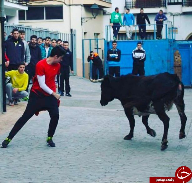 4گوشه دنیا/ مرگ نوجوان خام در مسابقات گاوبازی اسپانیا