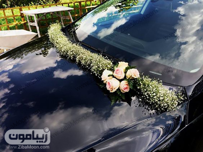 مدل ماشین عروس شیک 2019