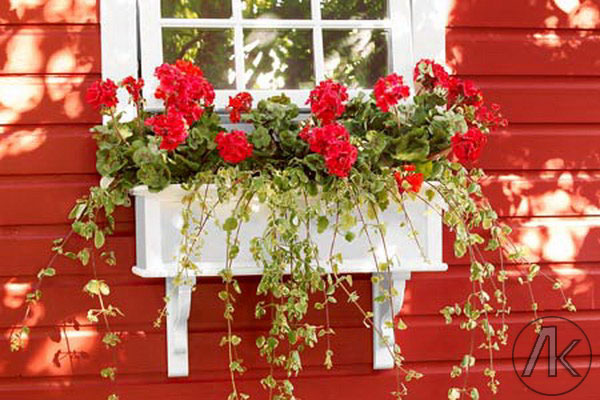 ایده های خلاقانه برای داشتن گلدان زیر پنجره