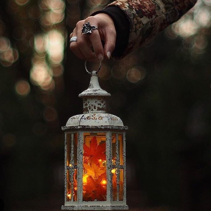 شاعرانه/ چراغ یاد تو را در کجا بیاویزم؟