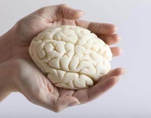 ۵ تمرین عالی برای تقویت حافظه و ذهن