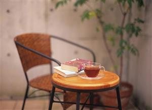 شاعرانه/ رسانده‌ایم درین عرصه خیال آهنگ