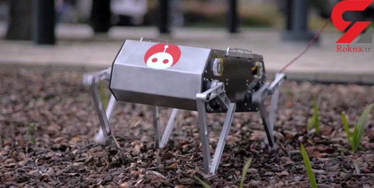 گوناگون/ سگ رباتیکی که در هوا پشتک می زند تولید شد!