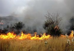 ۲۰هکتار از مزارع گندم کشاورزان مهرانی براثر صاعقه آتش گرفت
