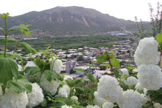 صبح زیبای خردادی تان بخیر