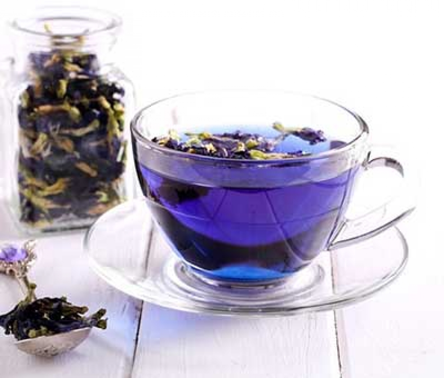 همه چیز درباره گیاه پر خاصیت گل گاو زبان