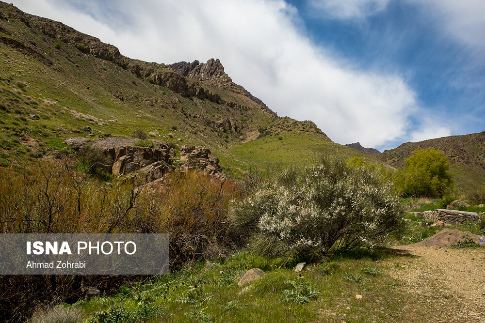 عکس/ سرسبزی طبیعت قم پس از ۱۰ سال