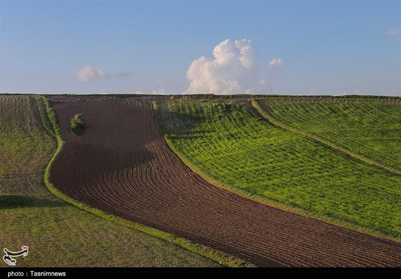 جلوه‌هایی زیبا از طبیعت بهاری خراسان شمالی به روایت تصاویر